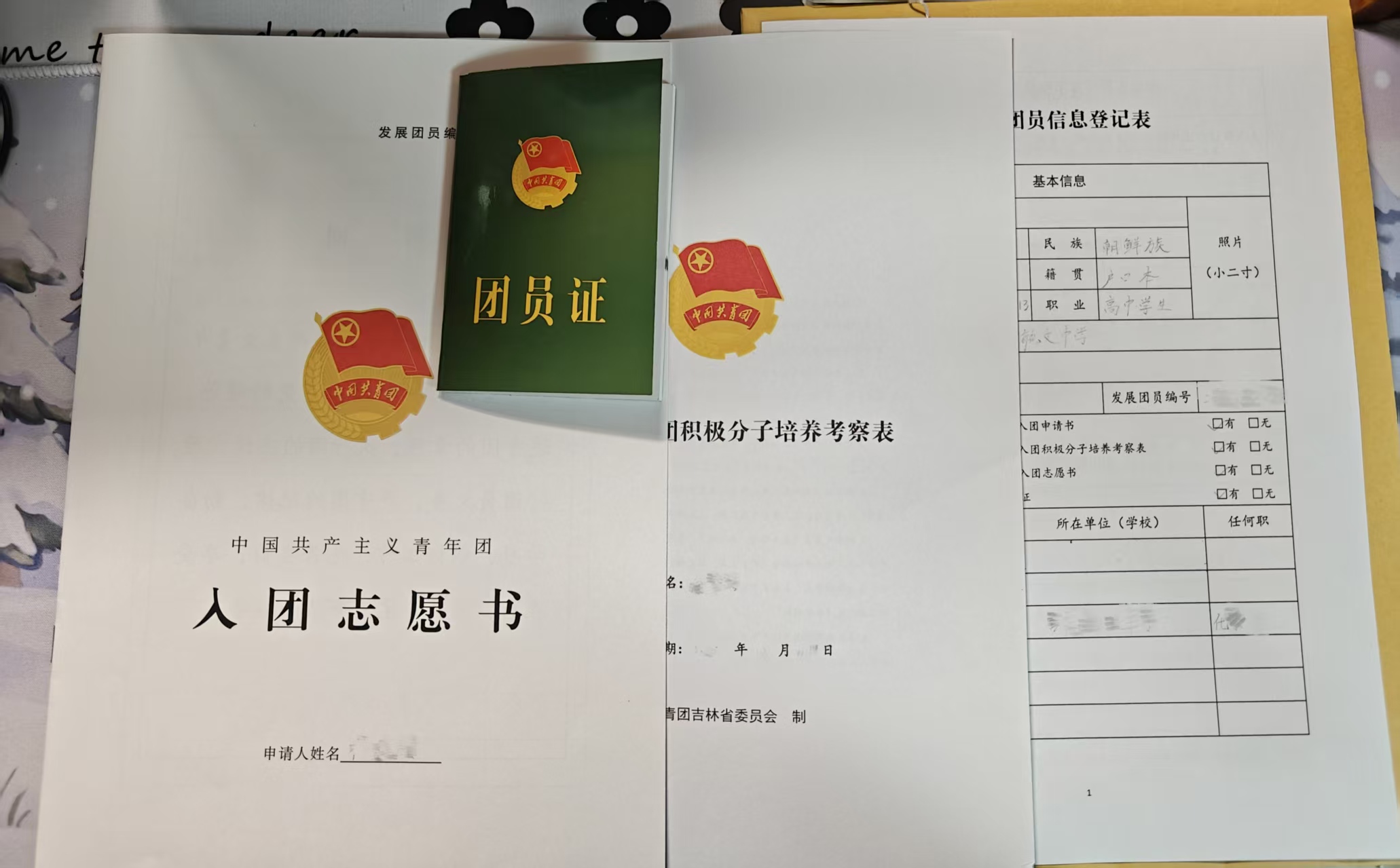 我将成为一名光荣的共青团员